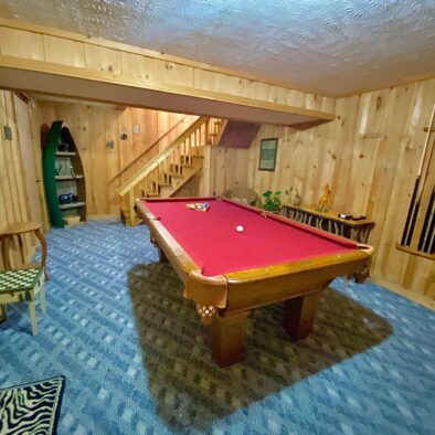 Jungle Safari cabin pool table