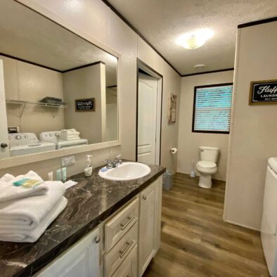 Mountain Air Cabin bath