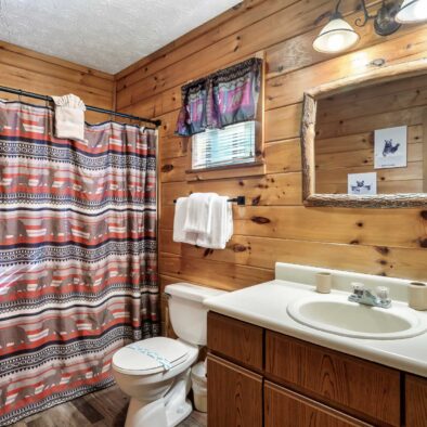 Boogie Bear Cabin bath