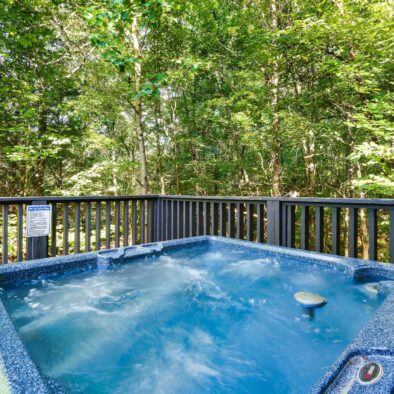 Boogie Bear Cabin hot tub