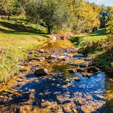 Trout and About Cabin creek