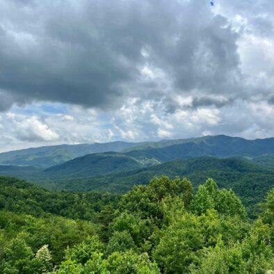 Panoramic Vista cabin