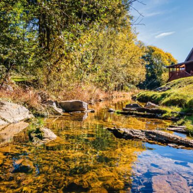 Trout and About Cabin creek