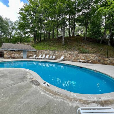 Panoramic Vista cabin pool