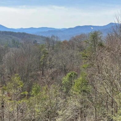 Pigeon Forge Cabin with a view