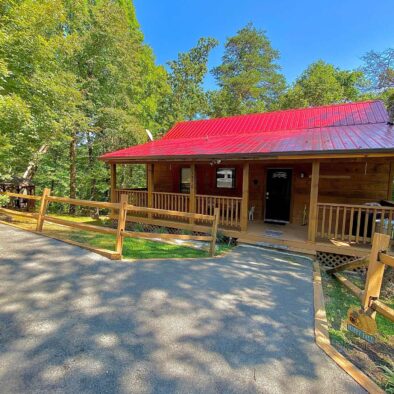 Jungle Safari Pigeon Forge Honeymoon Cabin