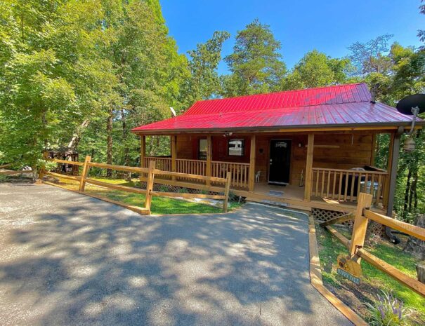 Jungle Safari Pigeon Forge Honeymoon Cabin