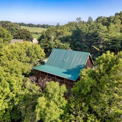 Trout and About Cabin