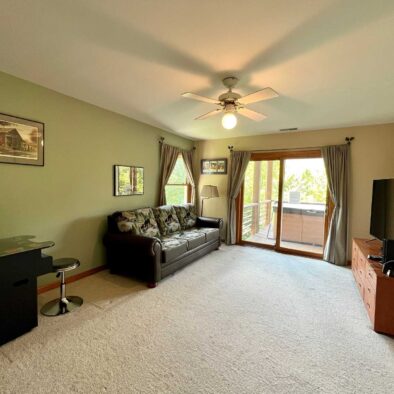 Panoramic Vista cabin living room