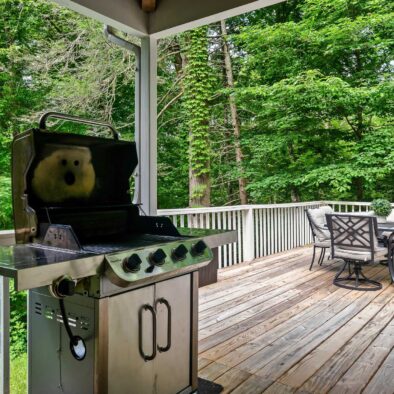 Farmer’s Daughter Cabin grill