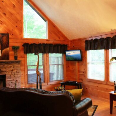 Jungle Fever Cabin living room