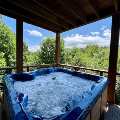 Panoramic Vista cabin deck