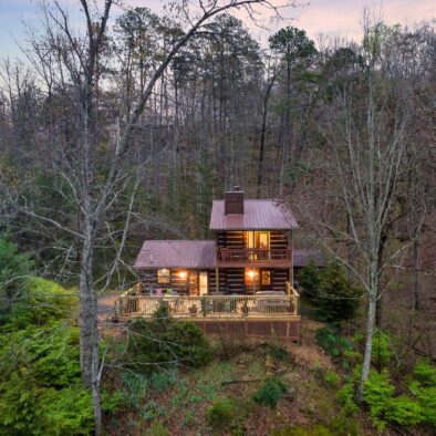 Tree House Tranquility Cabin Outside